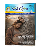 Informativo n&ordm; 219